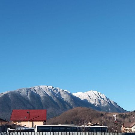 Piatra Craiului Residence Zărneşti Exterior foto